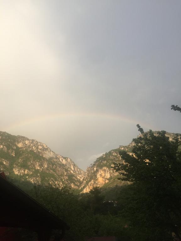 Pensiunea Jojo 4* Băile Herculane